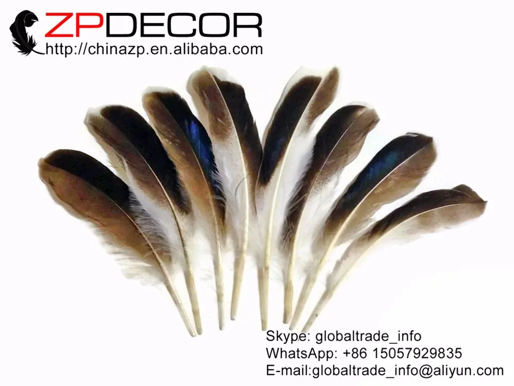 USA Real Feathers, 1 4 lb - Iridescent BLUE MIX Mallard Duck Wing Wholesale Feathers (bulk) 3
