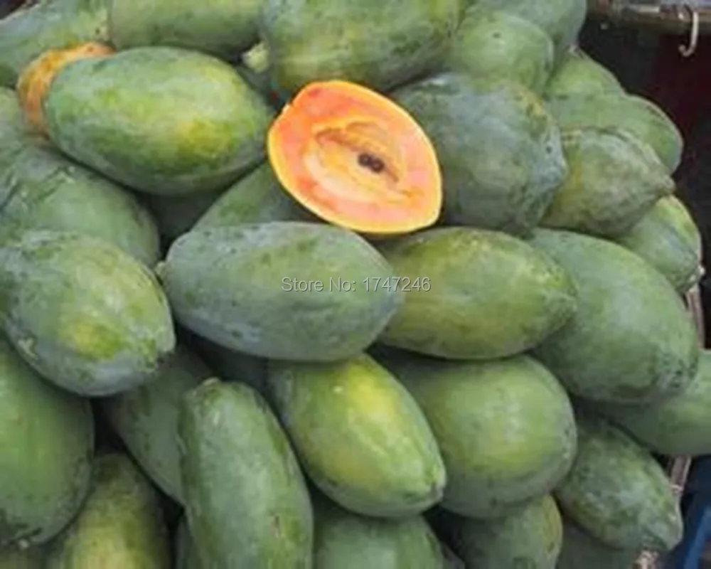 Free Shipping Hot selling Organic papaya juice powder 100 pure natural papaya powderin