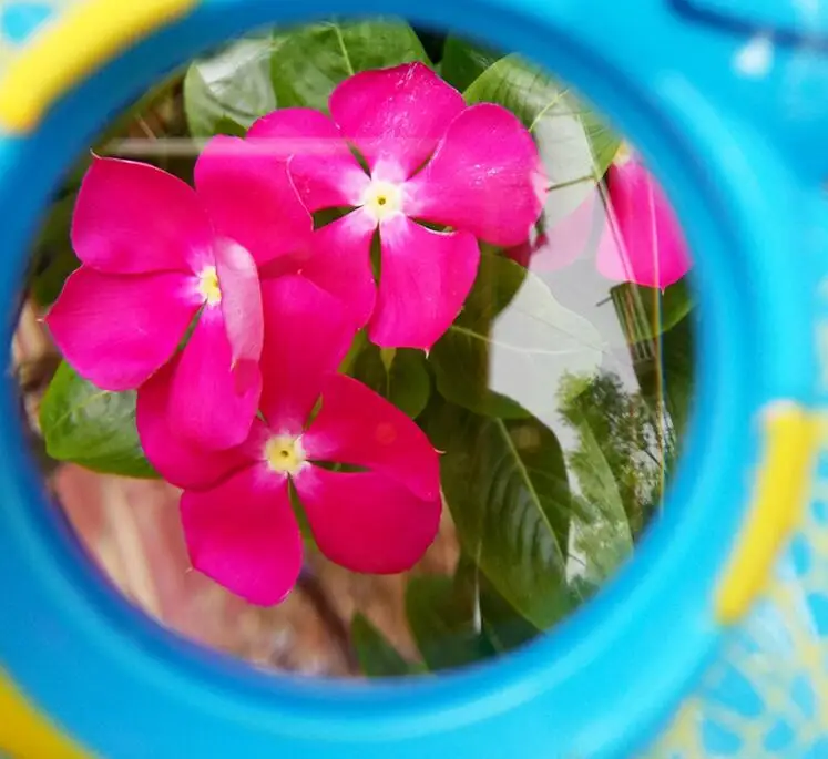 Купить детская игрушка ручной акриловые линзы лупа дети пчелы форма ...