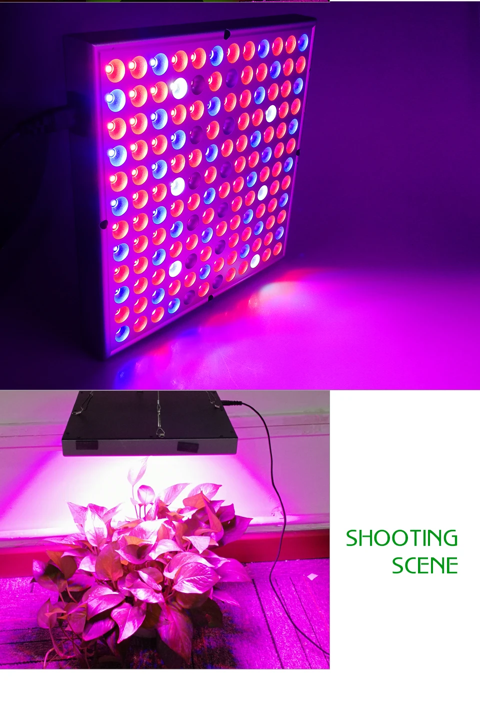 Panel Led Grow Light Lamp 45W Red Blue IR UV Full Spectrum Fitolampy For Indoor Plants Flowers Greenhouse Hydroponic Grow Tent (10)