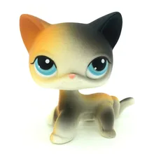 

Lps Pet shop Orange Black blue Eyes Short Hair Cat Kitty Collection Toy 2" mini figure