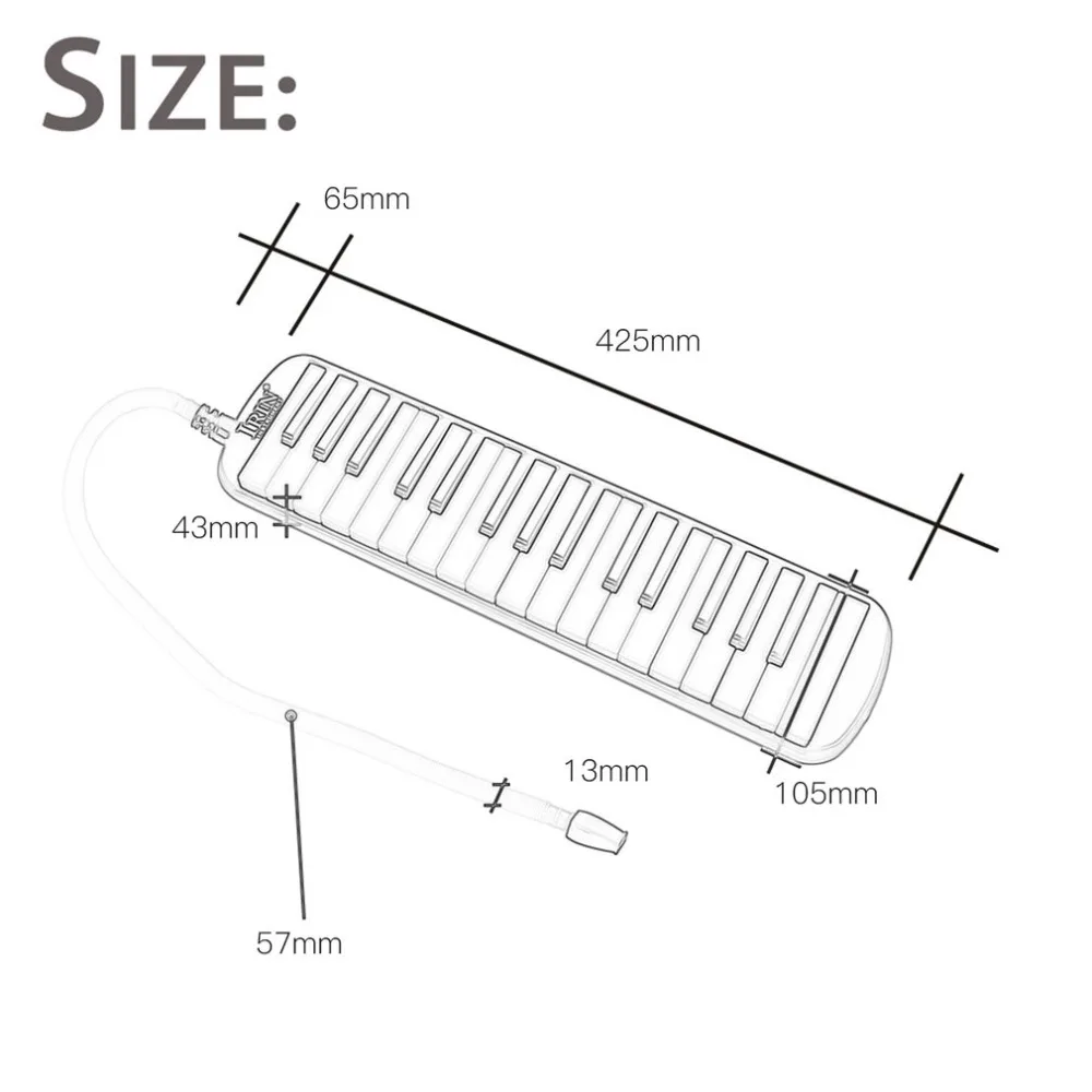 ZP483702-S-2-1