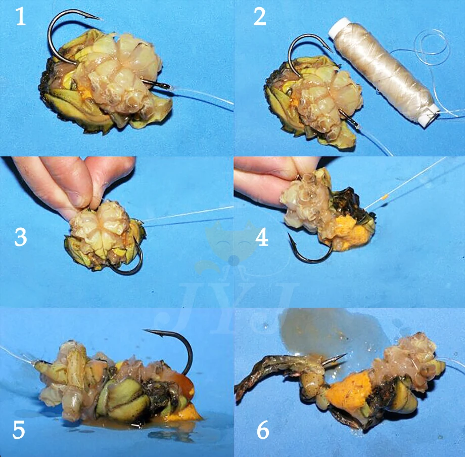 5 шт./лот PJ1/2/3/4/5 приманки эластичный Невидимый леска для доставки прикорма и оснастки эластичные морские рыболовные аксессуары