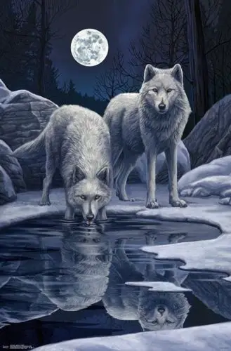 

LISA PARKER WARRIORS OF WINTER FANTASY ART WOLVES SILK POSTER Decorative Wall painting 24x36inch
