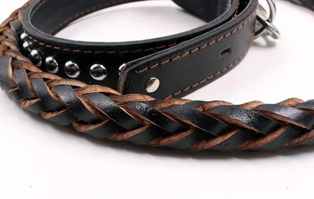 12 Collars, Harnesses & Leads