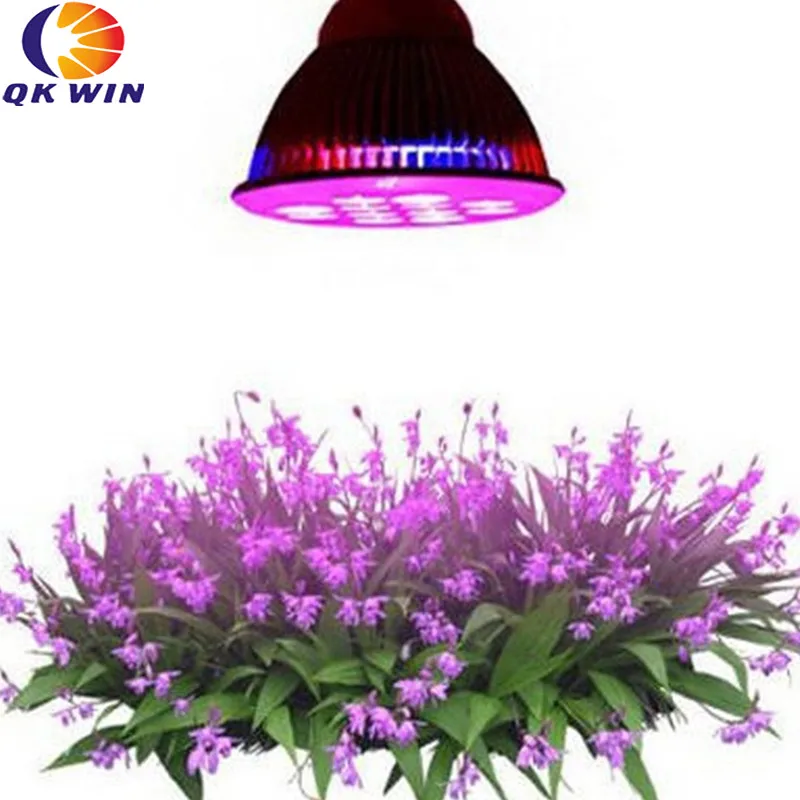 Qkwin 12x3 W E27 par 38 Led grow light 36 W для выращивания сцены в гидропоники освещение и коралловые рифы для аквариума Коралловое освещение дропшиппинг