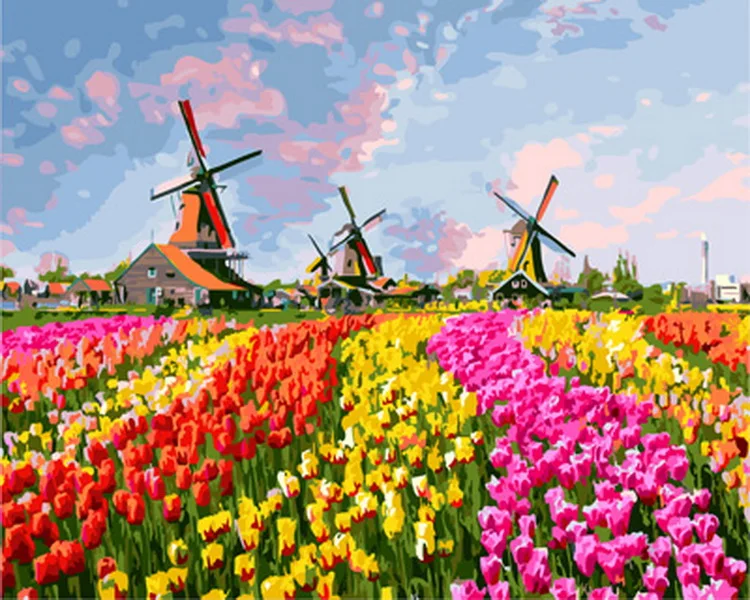 

Unframe diy picture oil painting by numbers paint by number for home decor canvas painting 5065cm tulip and windmill