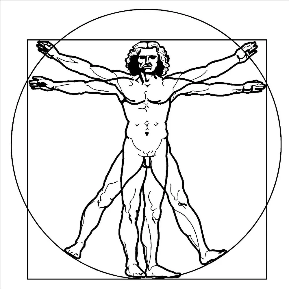 Dibujos De Leonardo Da Vinci Faciles