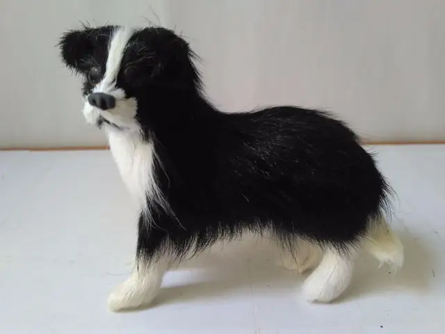 Plastic Furs Black Border Collie Mini 10x4x9cm Model Simulation