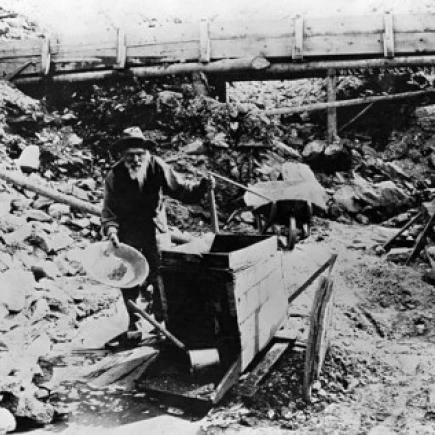 Miner panning for gold using gold rocker  Alaska  USA Poster Print (18 x 24)