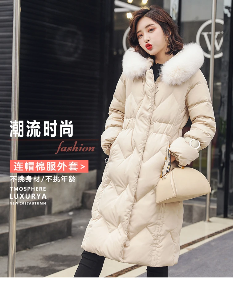 LRH_01