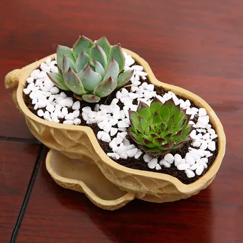 

Peanut Vasi Giardino Flores Succulent-plant-pot Balcony Pot Garden