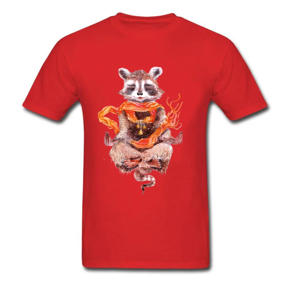 Raccoon meditates (female)_red