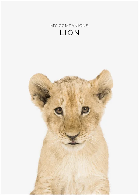 Zebra Panda Bear Owl Goat Giraffe Painting By Numbers Modern Cute Cartoon Decorative Wall Picture Hand Painted Watercolor Painting Calligraphy Aliexpress Zebra Panda Bear Owl Goat Giraffe Painting By Numbers Modern Cute Cartoon Decorative Wall Picture Hand Painted Watercolor Painting Calligraphy Aliexpress