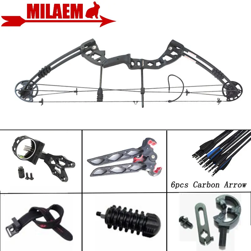 

30-55lbs Archery Compound Bow Set With Bowstring Stabilizer Bow Limbs Stabilizer IBO310FPS Outdoor Target Hunting Accessories