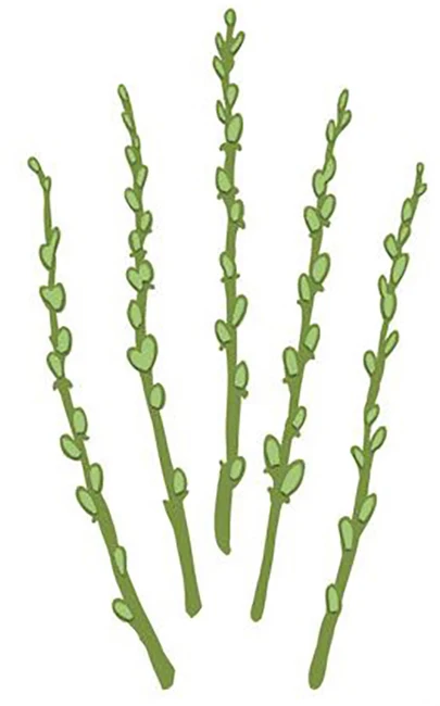

Catkins Stems Metal Cutting Dies Scrapbooking Craft Die cuts Card making paper art emboss stencil 46x64mm
