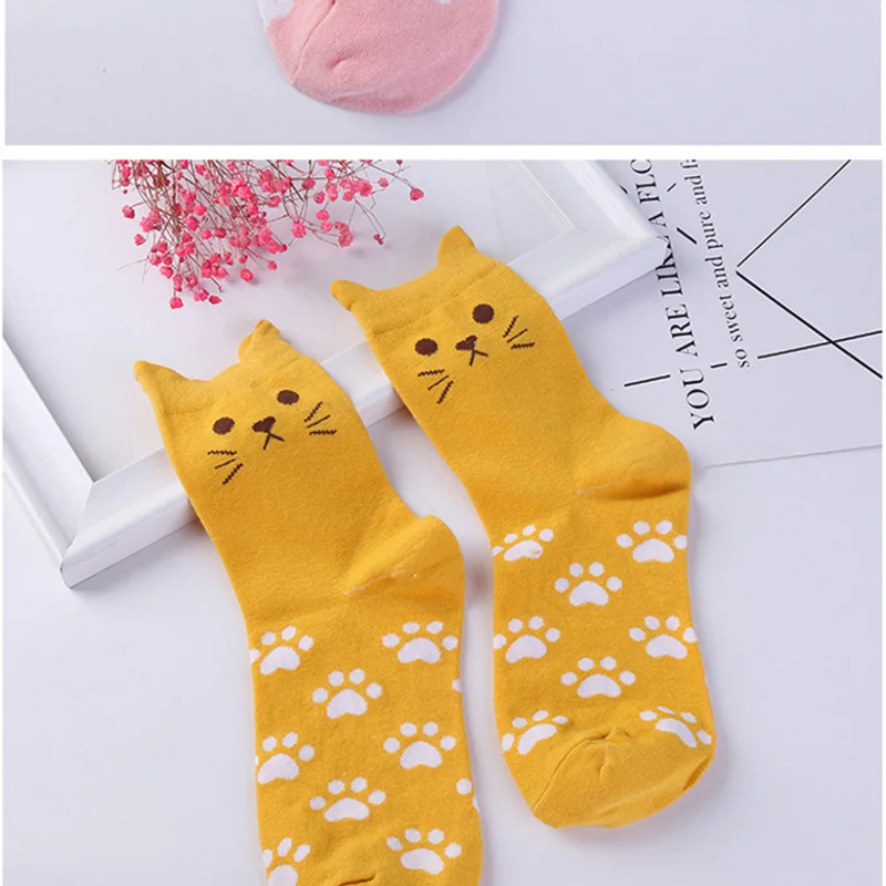 Sock (8)