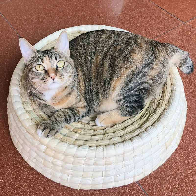 Infant Shining Breathable Cat Bed Cat House Handwork Nest Summer Cat Scratch Board Summer Breathabl