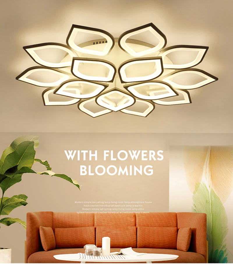 ceiling light (11)