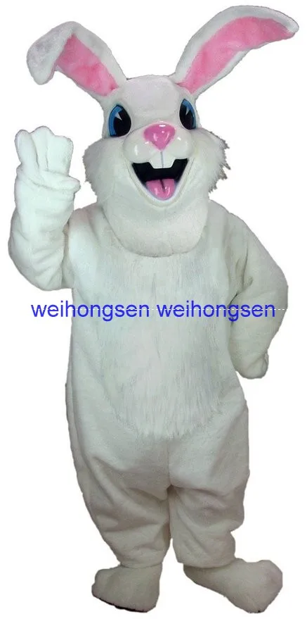 0168-1x(Jack Rabbit
