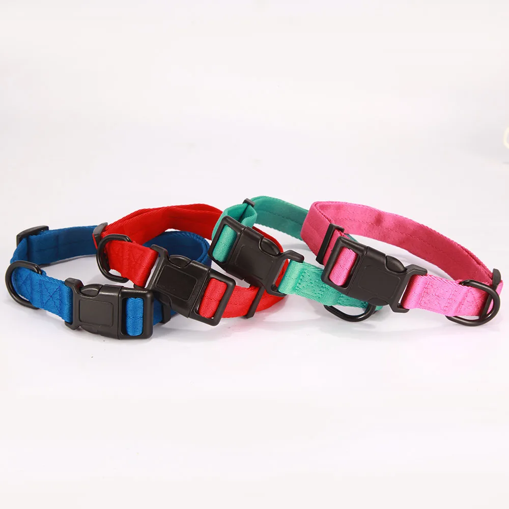 DOG COLLAR 3