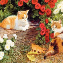 Безрамное картина два картина с кошками по номерам Современные Wall Art расписанную живопись маслом на холсте для украшения дома