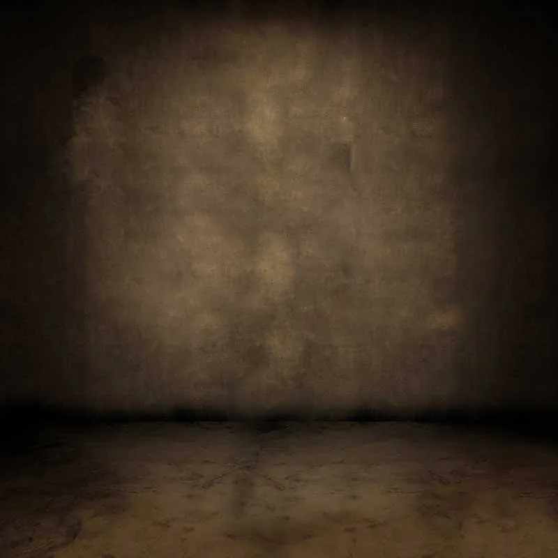 

Thin Vinyl cloth photography Backdrop Computer Printing Background for Photo Studio F-806