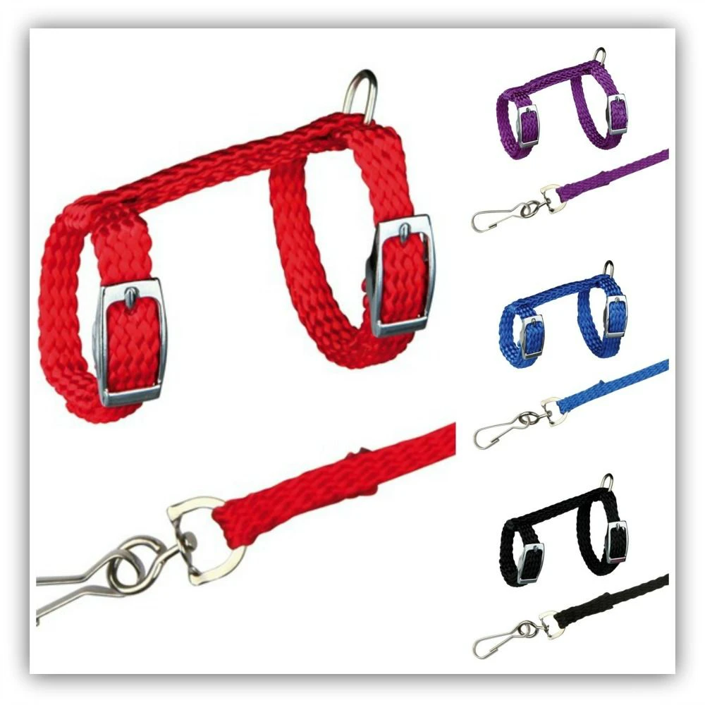 

4 Colors Adjustable Nylon Harness Collar Set with Lead Leash for Small Animal Ferret Rat Hamster Rabbit Bunny Squirrel Guinea