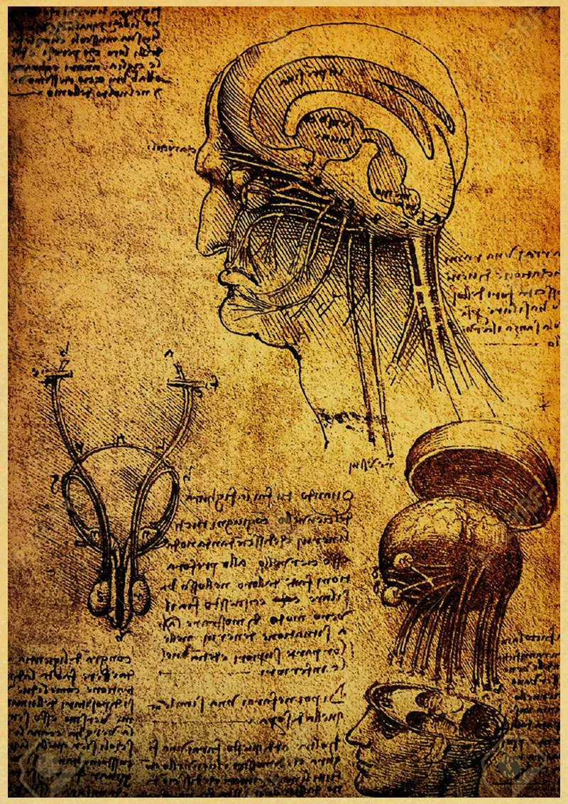 Leonardo рукопись да Винчи Витрувианский человек ностальгические плакаты ретро декоративная напечатанная картина ядро крафт Бумага наклейки на стену - Цвет: P062