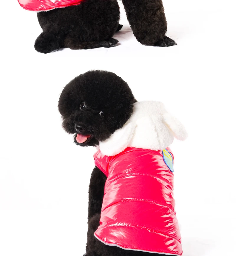 9 dog clothing 