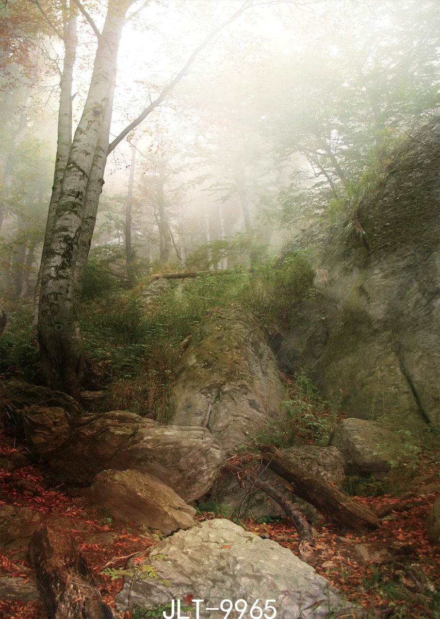 Forest Stone Photo Background Fog Mysterious Photography Backdrops Vinyl Cloth Customize Backgrounds for Studio Photoshoot | Электроника