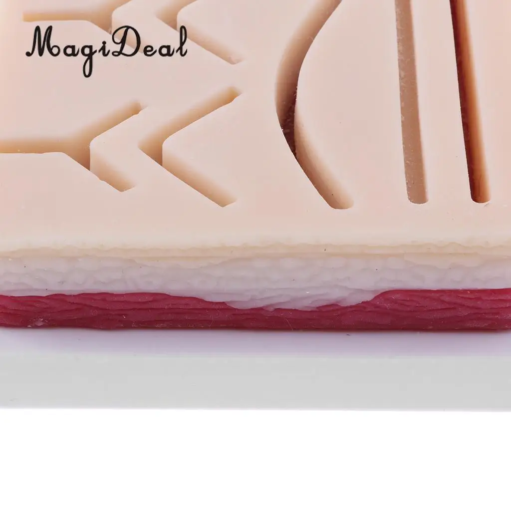 MagiDeal Human Skin Wound Suture Pad Model Suturing Practice Training Kit for Lab Supplies School Teaching Medical Study Aid