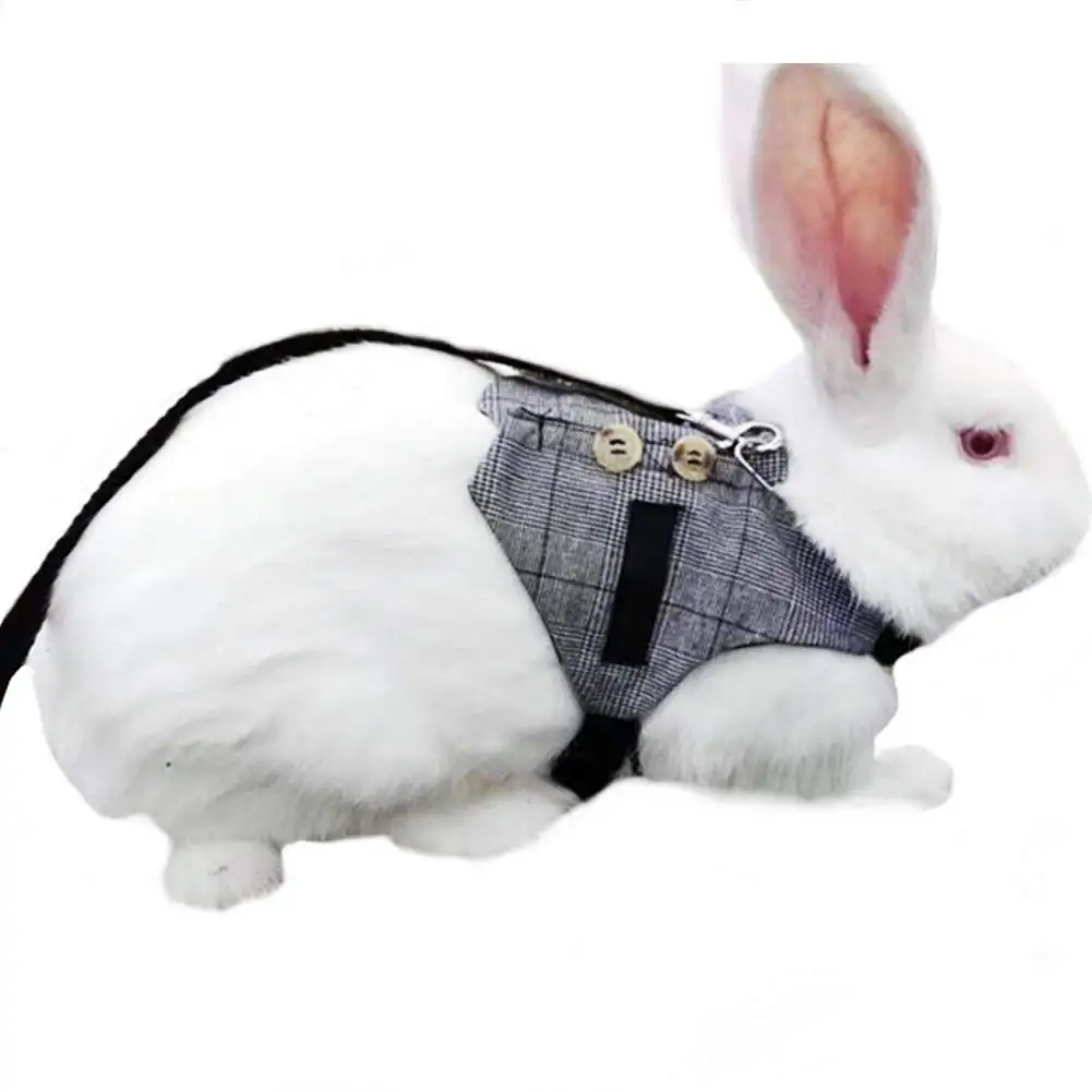 

Rabbit Adjustable Soft Vest Harness and Leash Set Suit Style Plaid Stripe for Bunny Kitten Small Animal Walking