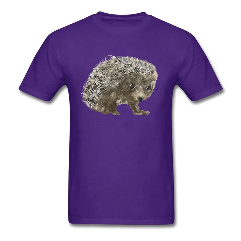 little hedgehog_purple