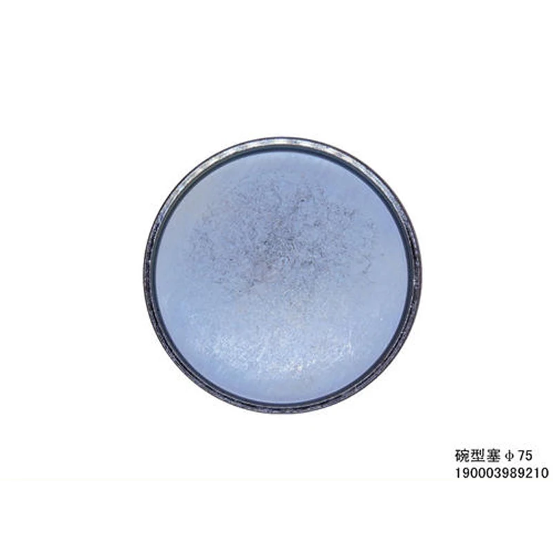 g10