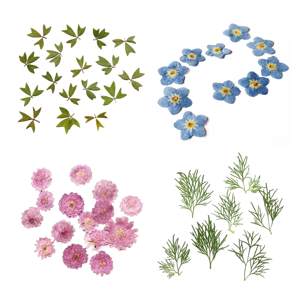 

10x Pressed Real Dried Flower Dry Leaves for DIY Crafts Bookmark Card Making Bookmark Album Frame