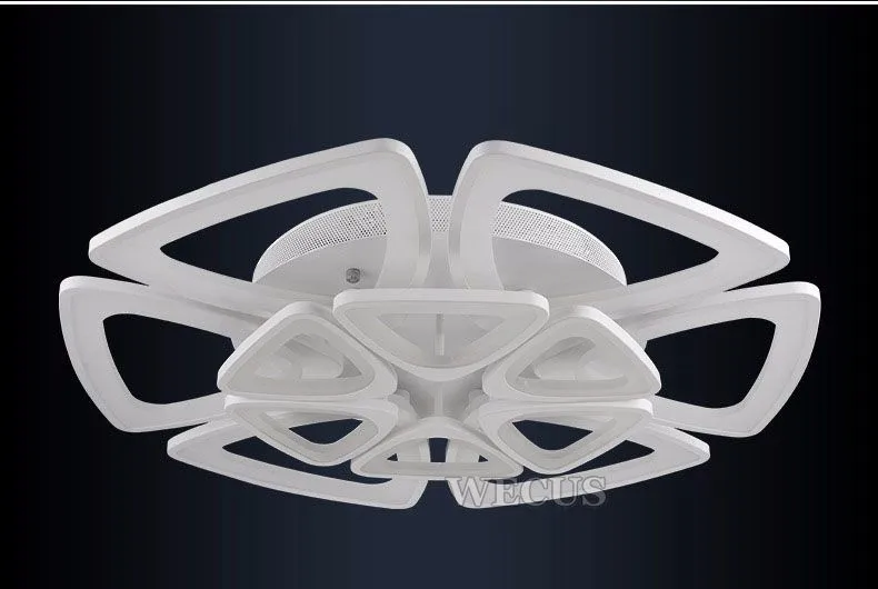 Ceiling lamp-01 (11)