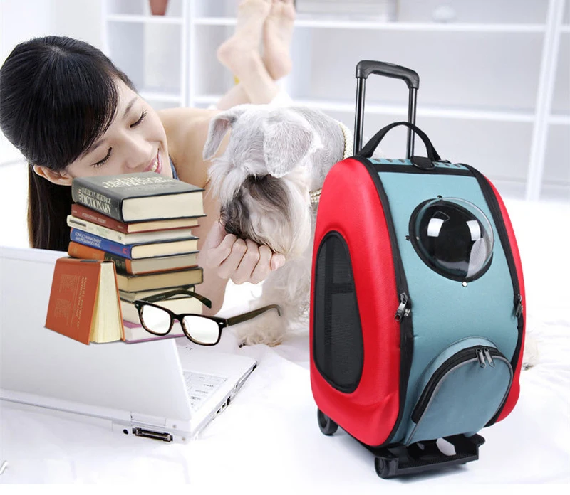 pet cat dog bag 13