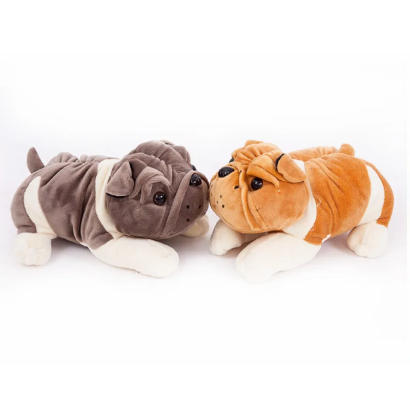 Bulldog Baby Shar Pei