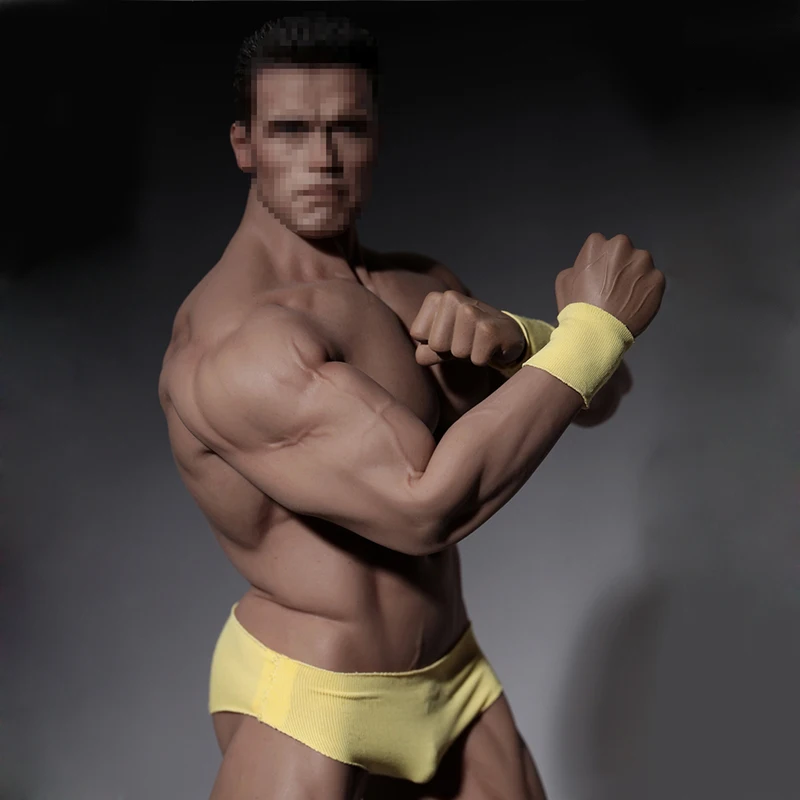 

Phicen 1/6 Male Super Strong Flexible Seamless Stainless Steel Movable Body Muscular Action Figure Model PL2016-M34 Without Head