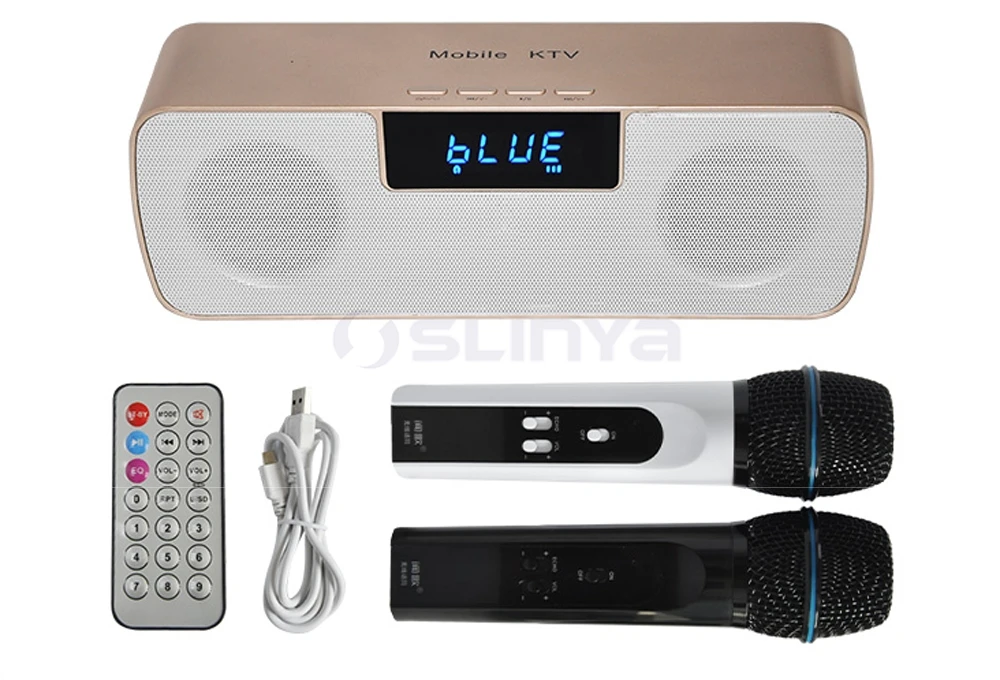 Speaker with wireless microphone 8040170721 (20)