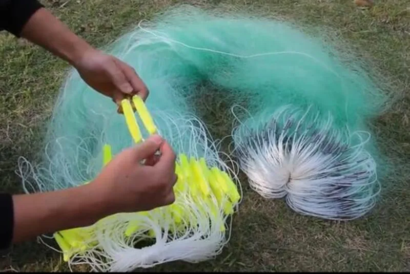 China mesh fish Suppliers