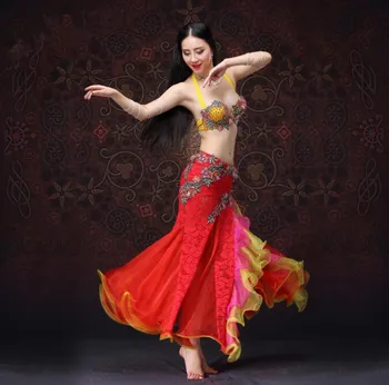 

Professional 2 Piece Belly Dance Costume Bra and Lace Skirt Luxury Egypt Performance Show Suit Bollywood Princess Red Pink D Cup