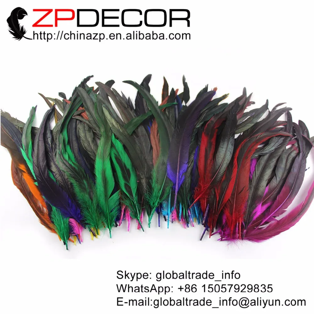 rooster feathers (8)