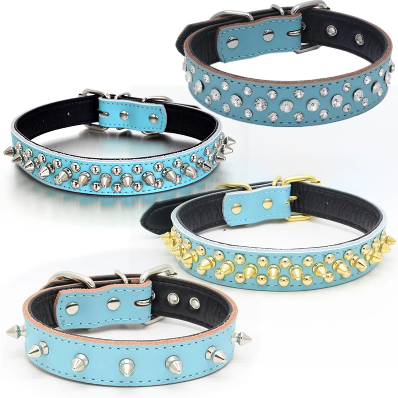 Dog Collar 2