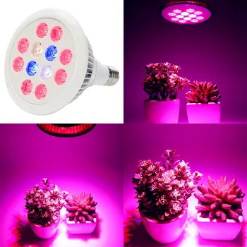 

Full spectrum LED Plant Grow Light 36W E27 LED Growing Hydroponics Light for Vegetable Seedlings Greenhouse Plant Lighting