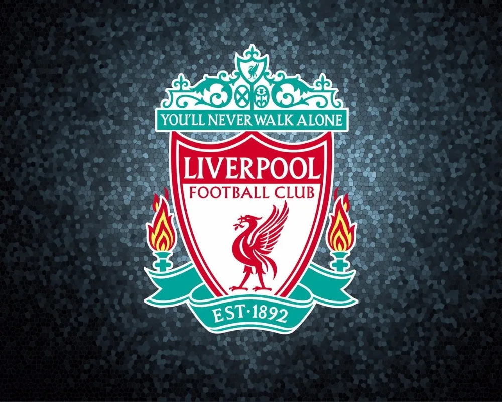 2018 new 5D diy Diamond Painting full square Liverpool
