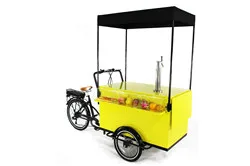 Мобильная уличная электрическая пищевая Мороженица велосипедная тележка с охладителем