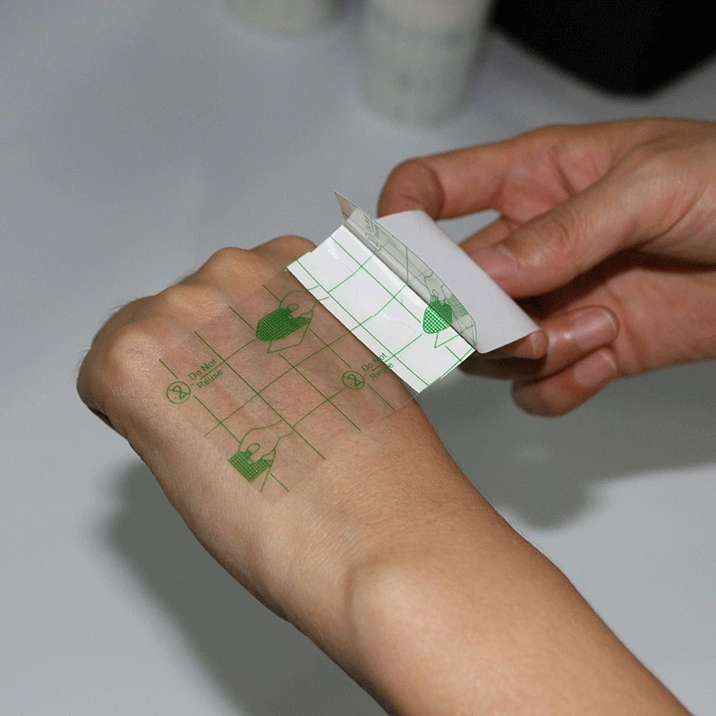 4403454410_1437261720