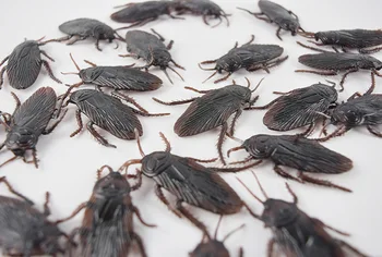 

100p/set new strange simulation toy cockroach model toy Very creative Hu Yuren Festival Christmas New Year's Day